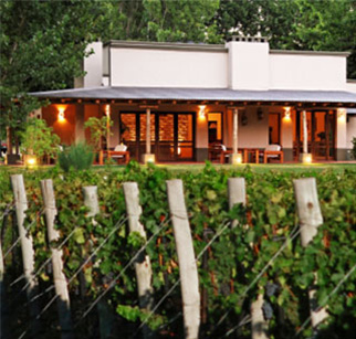 Algodon Wine Estates Wellness Resort